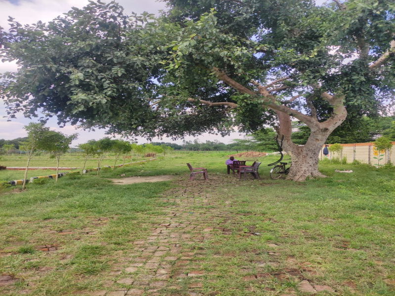  Residential Plot 1000 Sq.ft. for Sale in Nagram Road, Lucknow