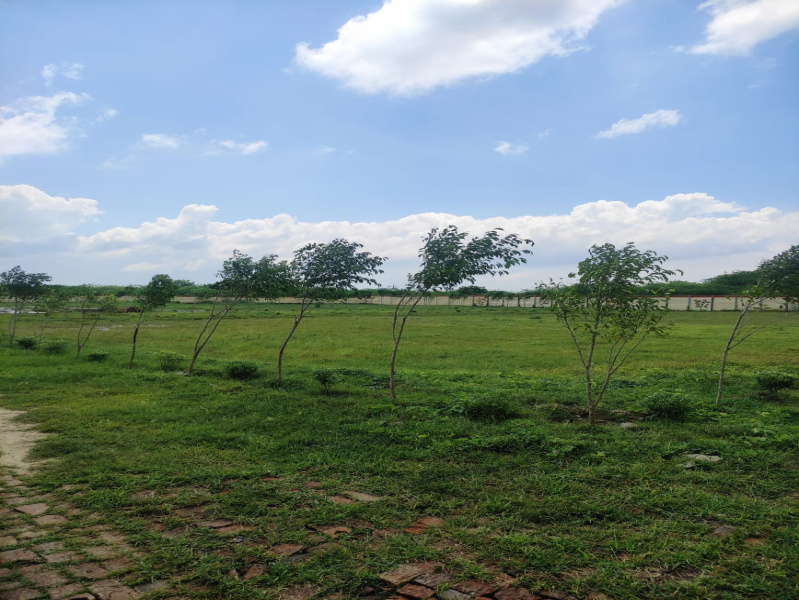  Residential Plot 1000 Sq.ft. for Sale in Nagram Road, Lucknow
