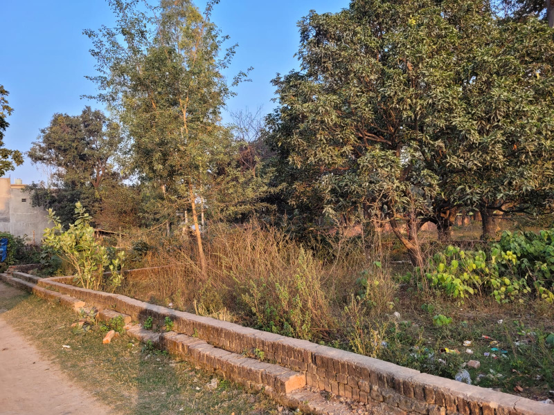  Residential Plot 1500 Sq.ft. for Sale in Gaurabagh, Lucknow