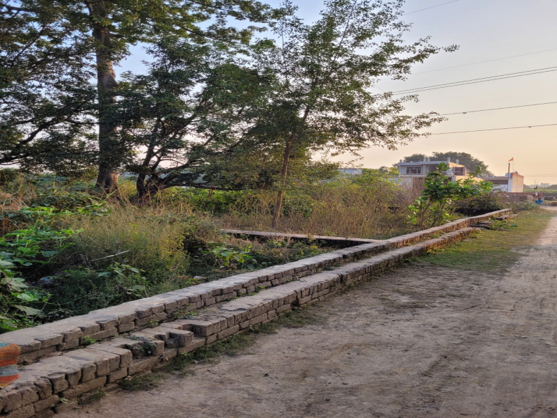  Residential Plot 1500 Sq.ft. for Sale in Gaurabagh, Lucknow