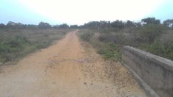  Agricultural Land for Sale in Bannur, Mysore
