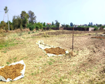  Commercial Land for Sale in Dakor, Kheda