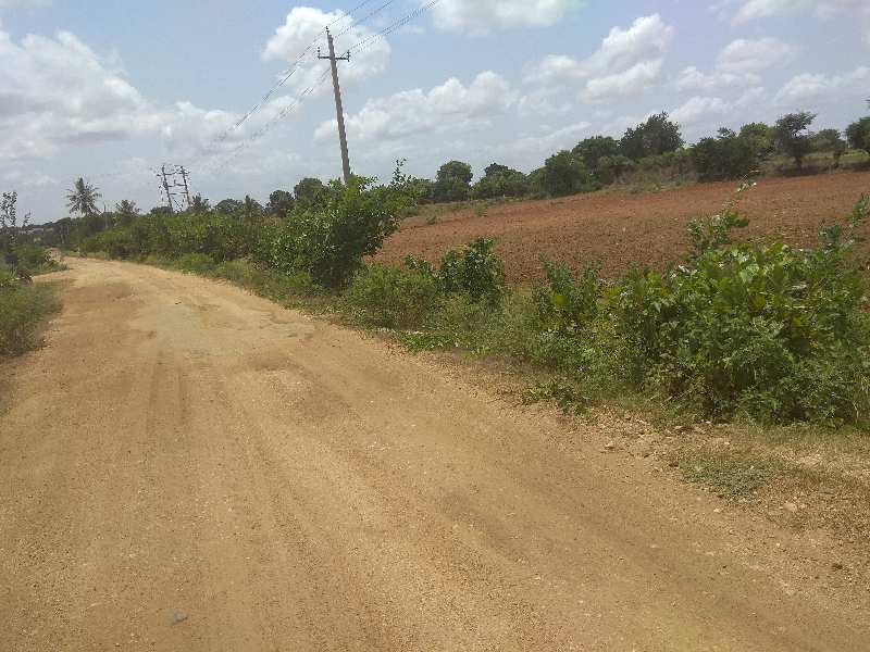 Agricultural Land 2 Acre for Sale in Doddaballapur, Bangalore