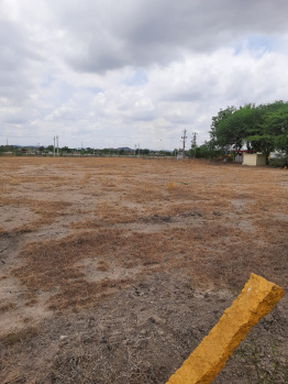  Agricultural Land for Sale in Hanamkonda, Warangal