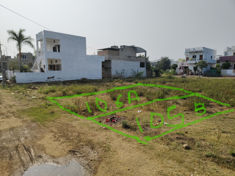  Residential Plot 1650 Sq.ft. for Sale in Achalpur, Amravati