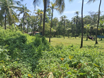 Residential Plot for Sale in Kumta, Uttara Kannada