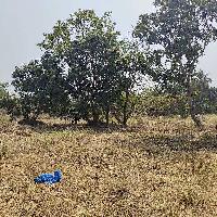  Agricultural Land for Sale in Mandwa, Alibag, Raigad