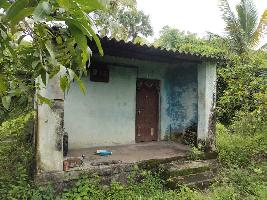  Residential Plot for Sale in Agarsure, Alibag, Raigad