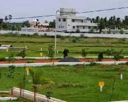  Residential Plot for Sale in Anandapuram, Visakhapatnam