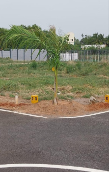  Residential Plot for Sale in No 1 Tollgate, Tiruchirappalli