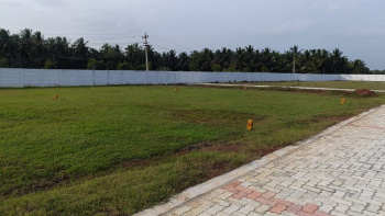  Residential Plot for Sale in Pattukkottai, Thanjavur