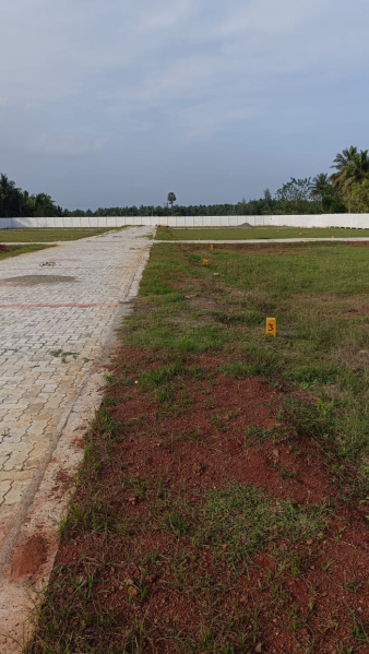  1200 Sq.ft. Residential Plot for Sale in Pattukkottai, Thanjavur