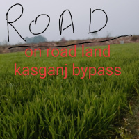  Residential Plot for Sale in Kyampur Bhediya, Kasganj