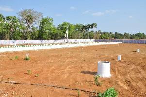  Residential Plot for Sale in Rajanagaram, East Godavari