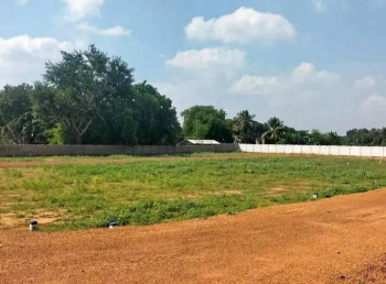  Residential Plot for Sale in Nanjikottai, Thanjavur