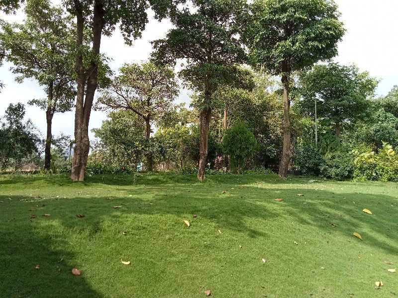 Agricultural Land for Sale in Talegaon, Pune (REI1065964)