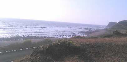  Agricultural Land for Sale in Shrivardhan, Raigad