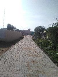 Residential Plot for Sale in Arcot, Vellore