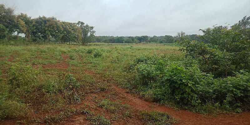 Agricultural Land 2 Acre for Sale in Munneshwar Nagar, Hubli