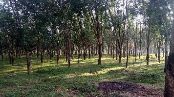  Agricultural Land for Sale in Nagercoil, Kanyakumari