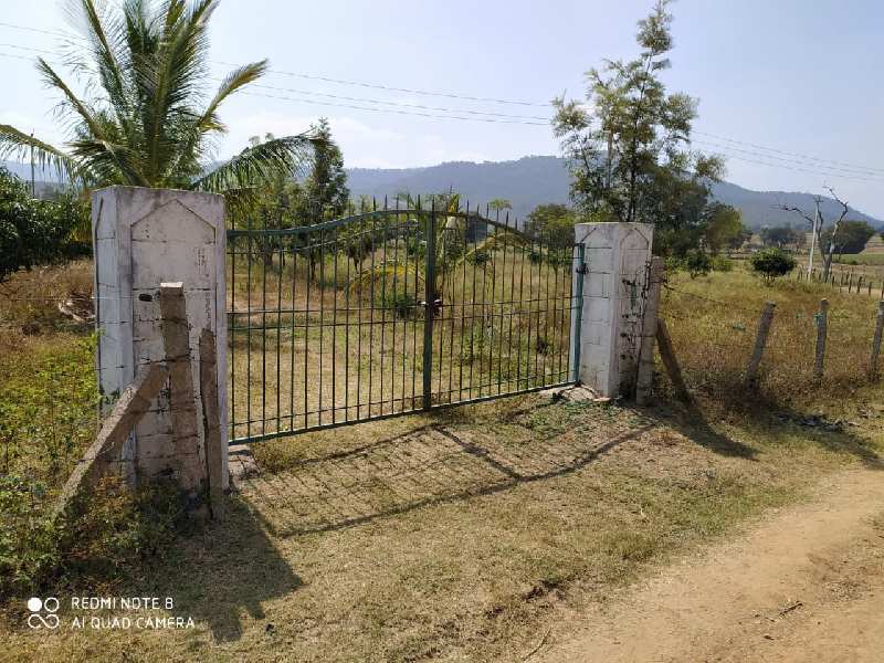  11 Acre Agricultural/Farm Land for Sale in Chamarajnagar