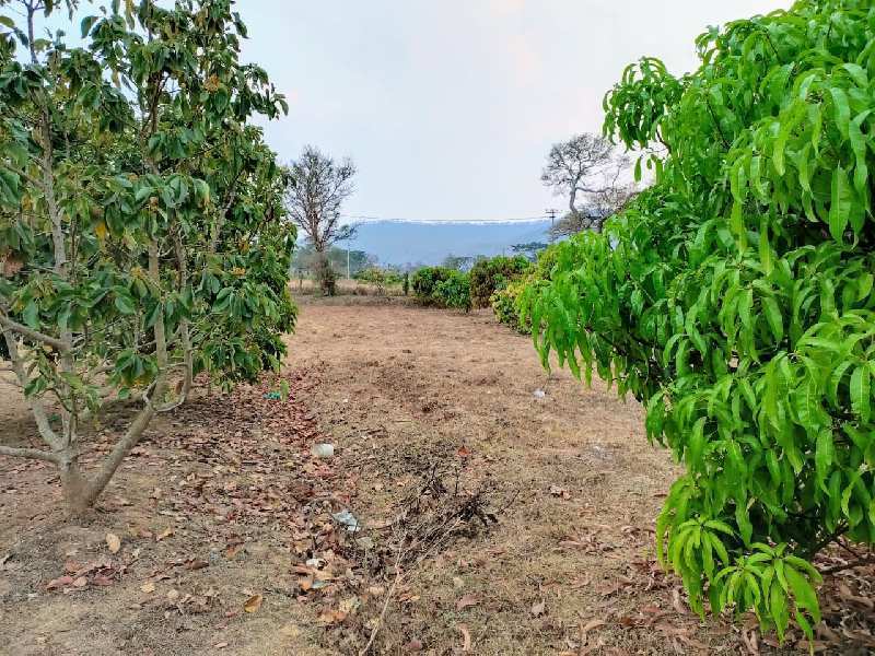  11 Acre Agricultural/Farm Land for Sale in Chamarajnagar