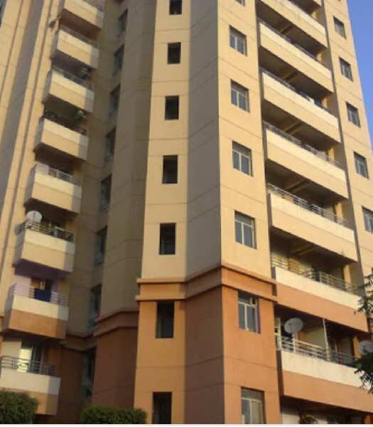 1 BHK Apartment 350 Sq.ft. for Rent in Sector 42 Gurgaon