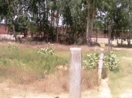  Commercial Land for Sale in Itaunja, Lucknow