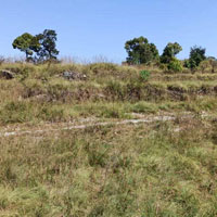  Agricultural Land for Sale in Lansdowne, Pauri Garhwal