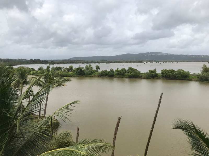2600 Sq. Meter Residential Plot for Sale in Carambolim, North Goa
