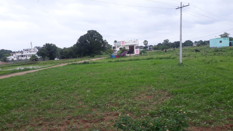  181 Sq. Yards Residential Plot for Sale in Malkapur Road, Karimnagar