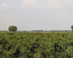  Agricultural Land for Sale in Pinapaka, Khammam
