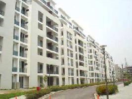 3 BHK Flat for Sale in Sector 49 Gurgaon