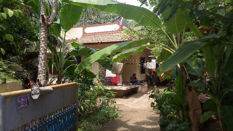 3 BHK House 1200 Sq.ft. for Sale in Pazhaveedu, Alappuzha