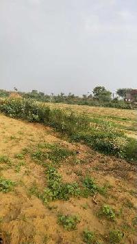  Agricultural Land for Sale in 11 Km. from Behror towards Alwar, Behror
