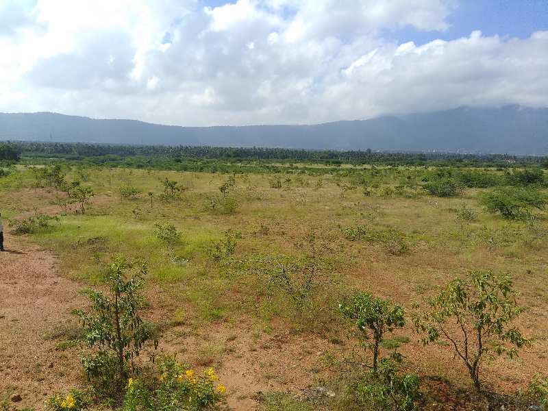 Agricultural Land 500 Acre for Sale in