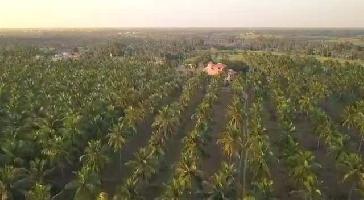  Agricultural Land for Sale in Chinna Dharapuram, Karur