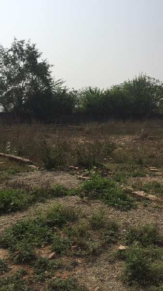  Residential Plot 5000 Sq.ft. for Sale in Raitha Road, Lucknow