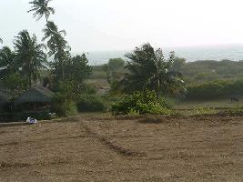  Residential Plot for Sale in Pernem, Goa