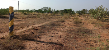  Agricultural Land for Sale in Alangulam, Virudhunagar