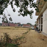 Residential Plot for Sale in Atwa Fatehpur, Ghazipur