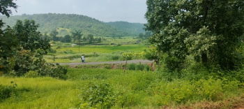  Agricultural Land for Sale in Murbad, Thane