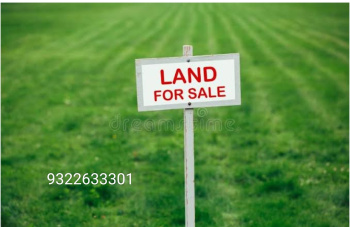  Agricultural Land for Sale in Adampur, Jalandhar