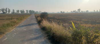  Agricultural Land for Sale in Adampur, Jalandhar