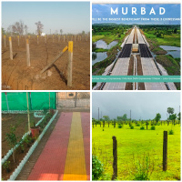  Residential Plot for Sale in Murbad, Thane