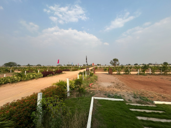 Agricultural Land for Sale in Amangal, Hyderabad