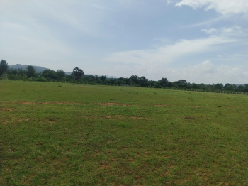  Residential Plot for Sale in Mucherla, Hyderabad