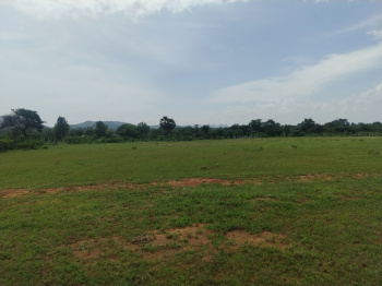  Residential Plot for Sale in Amangal, Hyderabad