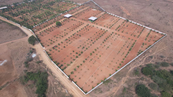  Residential Plot for Sale in Mucherla, Hyderabad