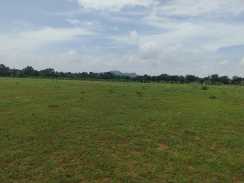  Agricultural Land for Sale in Mucherla, Hyderabad